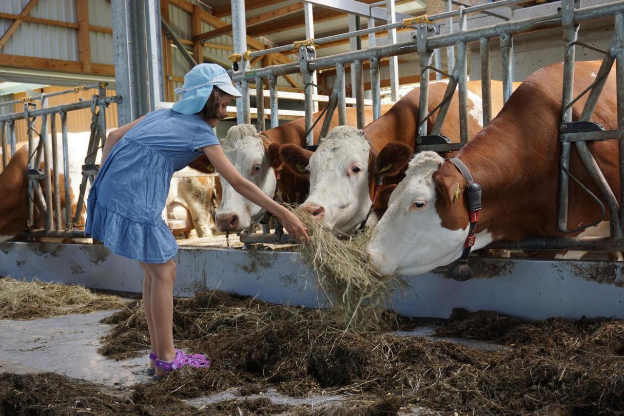 Kinderbauernhof Salmanner Steinbach an der Steyr Dış mekan fotoğraf
