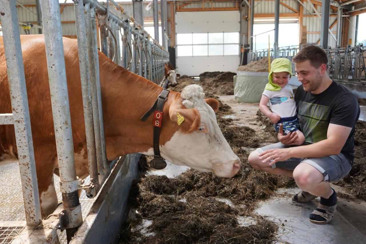 Kinderbauernhof Salmanner Steinbach an der Steyr Dış mekan fotoğraf