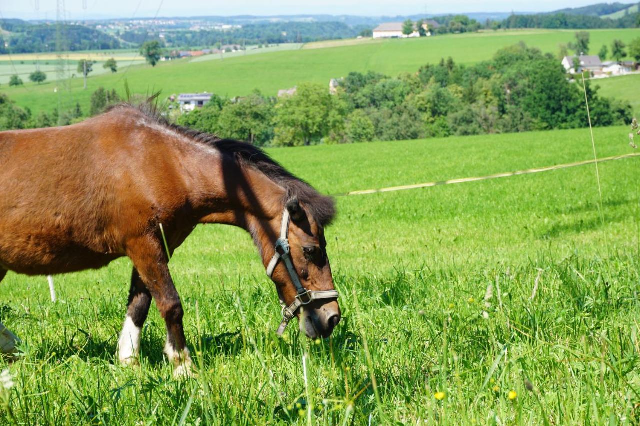 Kinderbauernhof Salmanner Steinbach an der Steyr Dış mekan fotoğraf