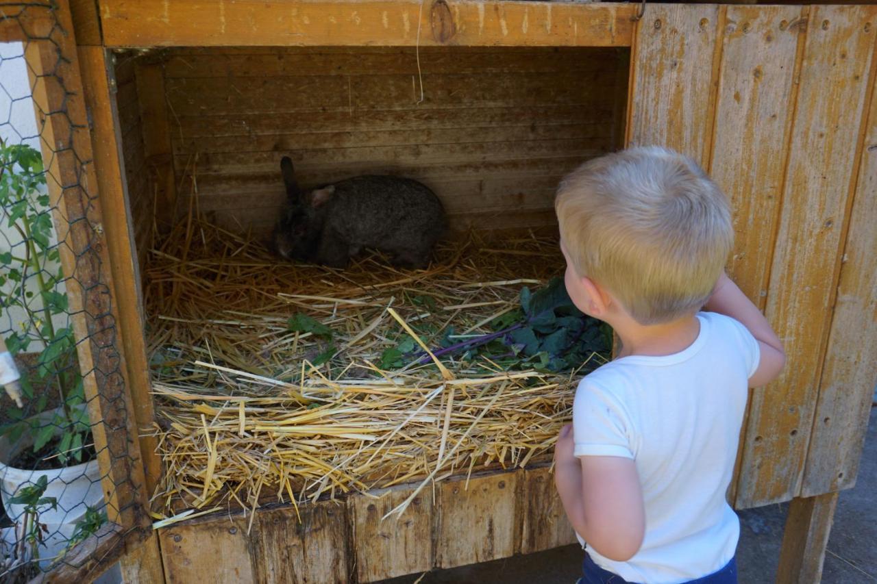 Kinderbauernhof Salmanner Steinbach an der Steyr Dış mekan fotoğraf