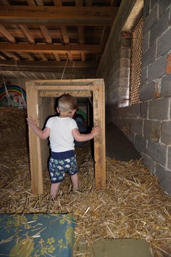Kinderbauernhof Salmanner Steinbach an der Steyr Dış mekan fotoğraf