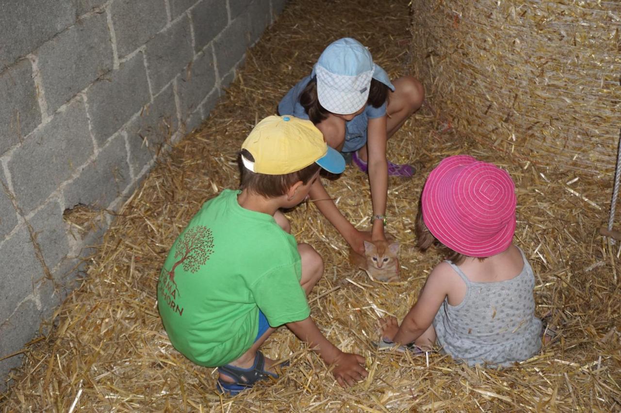 Kinderbauernhof Salmanner Steinbach an der Steyr Dış mekan fotoğraf