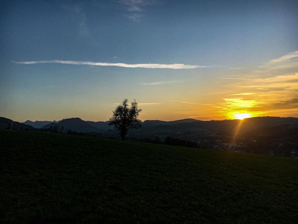 Kinderbauernhof Salmanner Steinbach an der Steyr Dış mekan fotoğraf