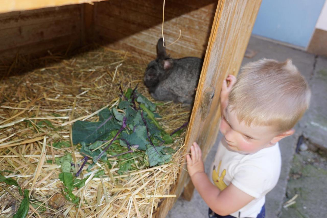Kinderbauernhof Salmanner Steinbach an der Steyr Dış mekan fotoğraf