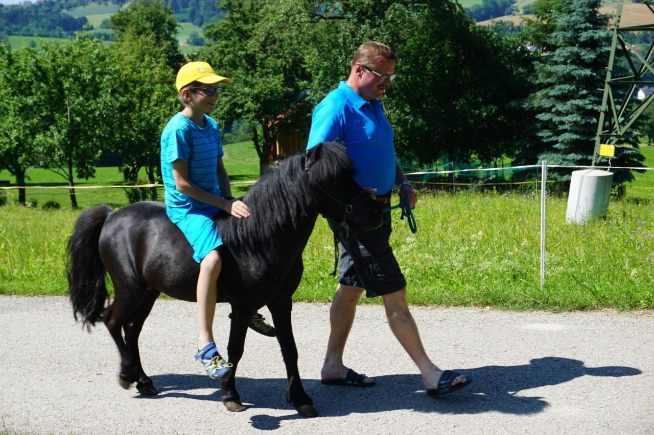 Kinderbauernhof Salmanner Steinbach an der Steyr Dış mekan fotoğraf