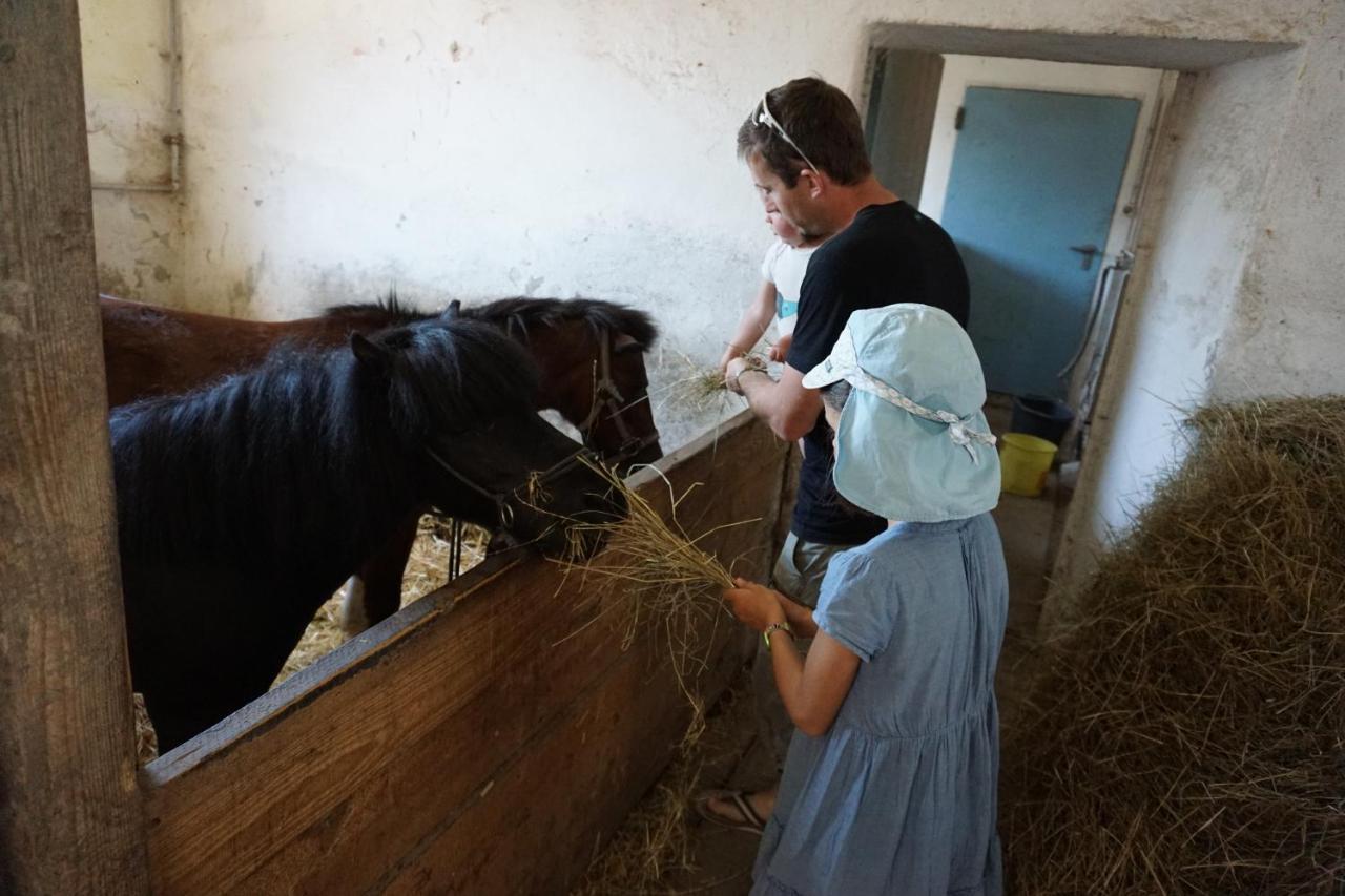 Kinderbauernhof Salmanner Steinbach an der Steyr Dış mekan fotoğraf