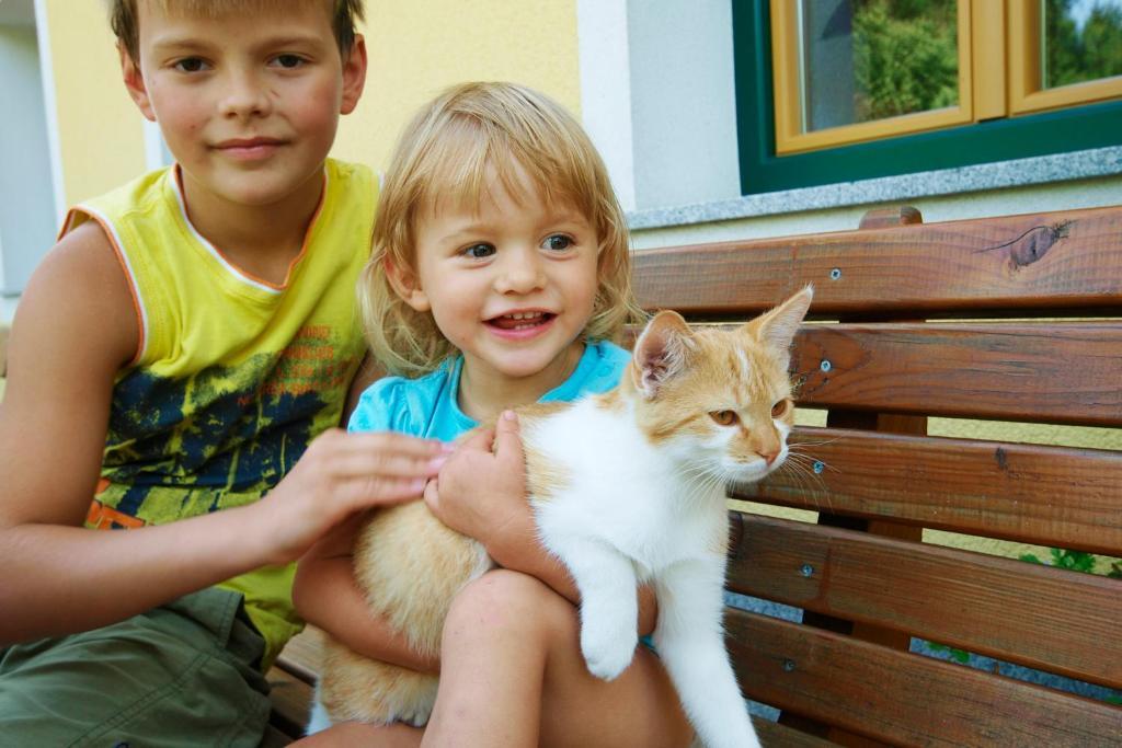 Kinderbauernhof Salmanner Steinbach an der Steyr Dış mekan fotoğraf