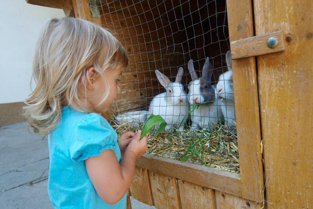 Kinderbauernhof Salmanner Steinbach an der Steyr Dış mekan fotoğraf