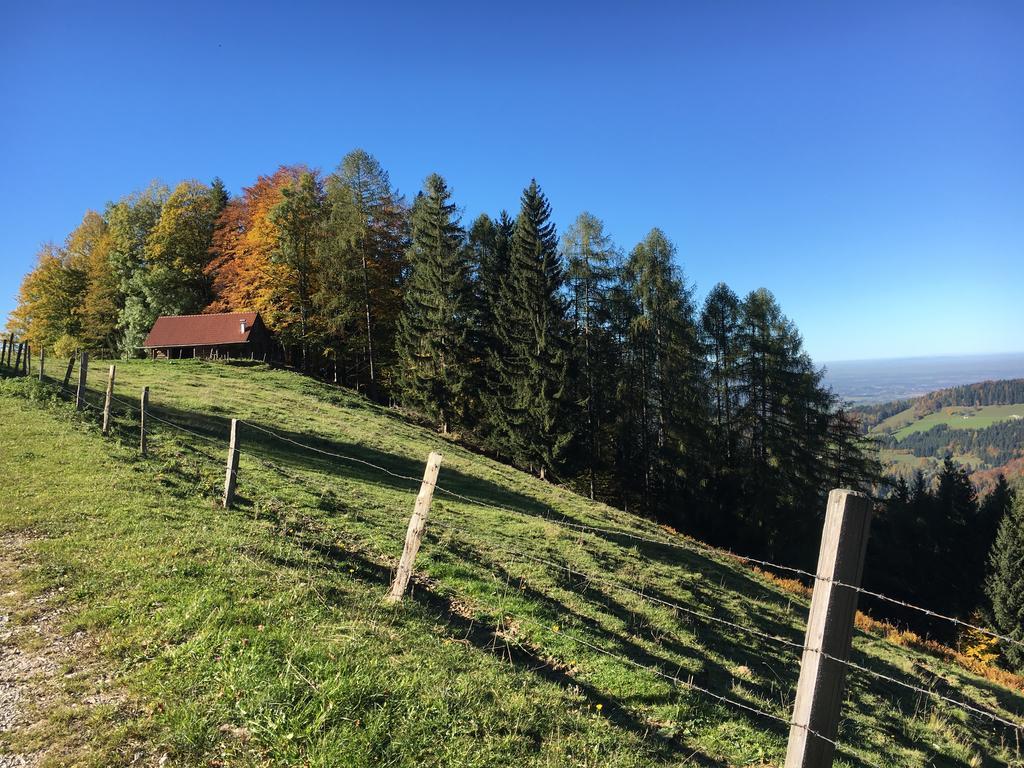 Kinderbauernhof Salmanner Steinbach an der Steyr Dış mekan fotoğraf